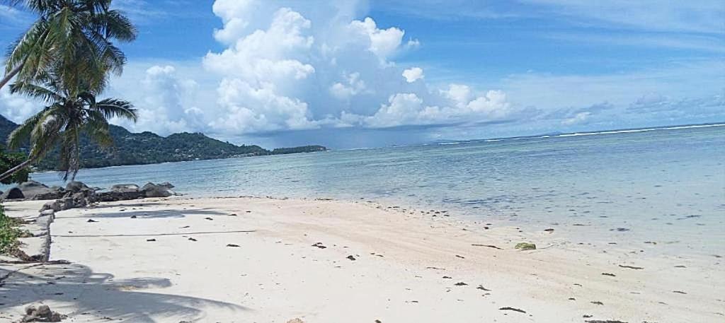 L'Echappee Du Cap Apartman Pointe Au Sel Kültér fotó
