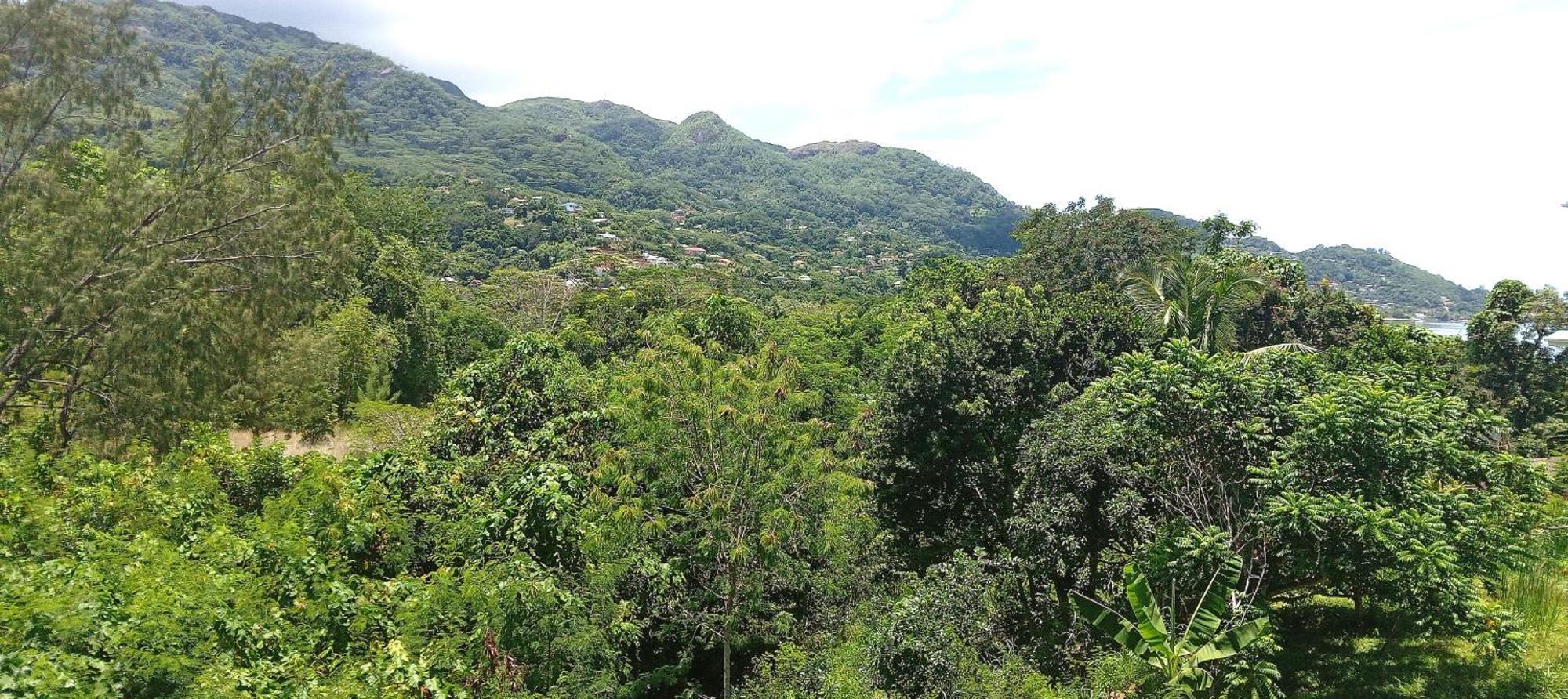 L'Echappee Du Cap Apartman Pointe Au Sel Kültér fotó